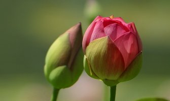 Oblačno, ponegdje kiša, do 17 stepeni