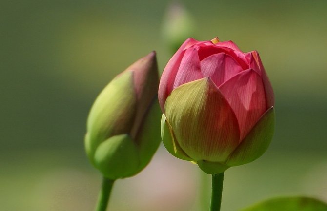 Oblačno, ponegdje kiša, do 17 stepeni