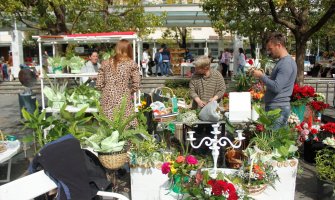 Anketa AA: Mnogo je bolje nego što je ranije bilo