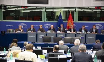 Brajović: Zaobilaženjem institucija sistema ne doprinosimo jačanju države