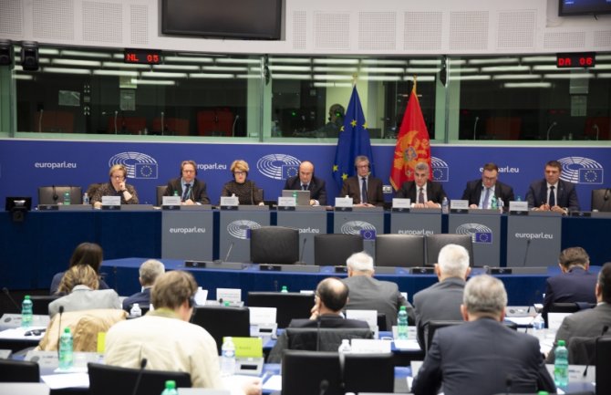 Brajović: Zaobilaženjem institucija sistema ne doprinosimo jačanju države