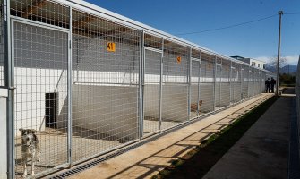 U svim crnogorskim gradovima još uvijek ne postoji sklonište za napuštene životinje