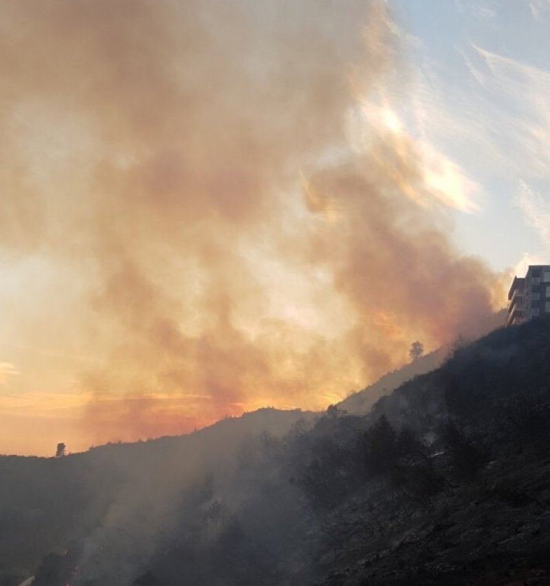 fcda95923187f8b425da14241c7e8c41L