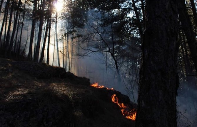 Mladi biciklista spriječio širenje požara u Trebjesi