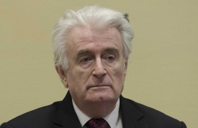 Karadžić će podnijeti žalbu zbog dužine kazne