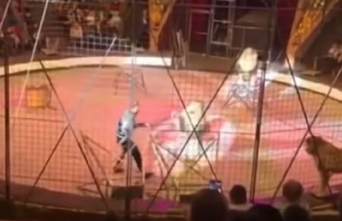Publika bila šokirana: Zabavljača tokom predstave napao lav (VIDEO)