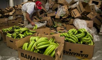 Kolumbija, kokain i banane: Kada narko dileri spoje unosne poslove