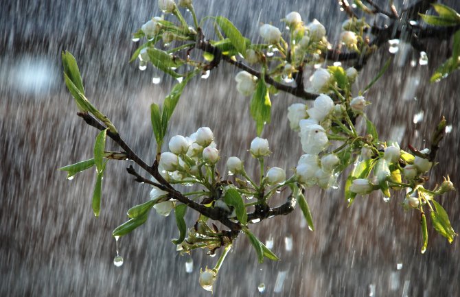 Kiša, razvedravanje poslijepodne, do 20 stepeni