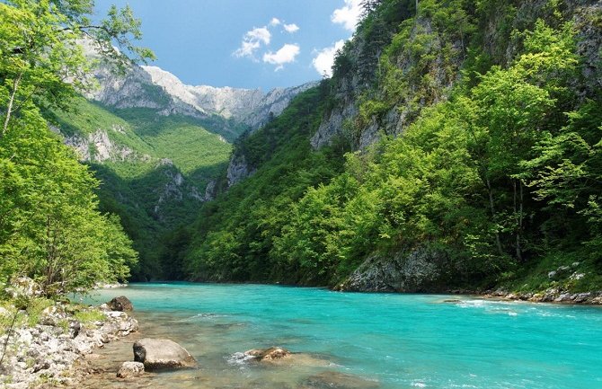 MANS: UNESCO potvrdio devastaciju rijeke Tare