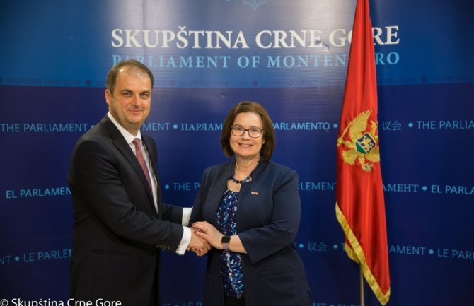 Nimanbegu- Rajzing Rajnke: Saradnja između SAD-a i CG u korist opšteg razvoja demokratizacije društva