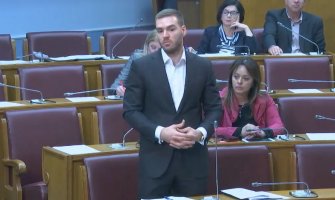 Rakočević: DF često protivnici antifasizma i države