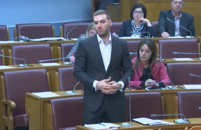 Rakočević: DF često protivnici antifasizma i države