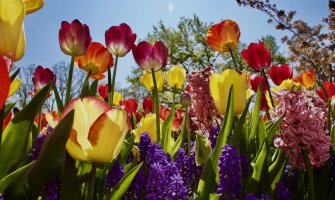 Za dane vikenda sunčano, do 23 stepena