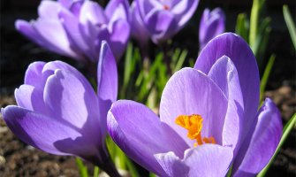 Sunčano, do 23 stepena