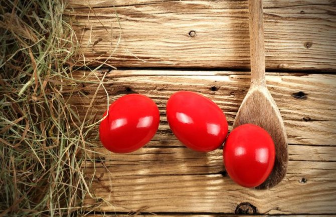 Kotorska biskupija: Sva liturgijska slavlja slaviće se bez vjernika