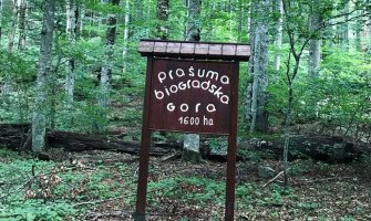 NP Biogradska gora zatvoren za posjetioce zbog nevremena