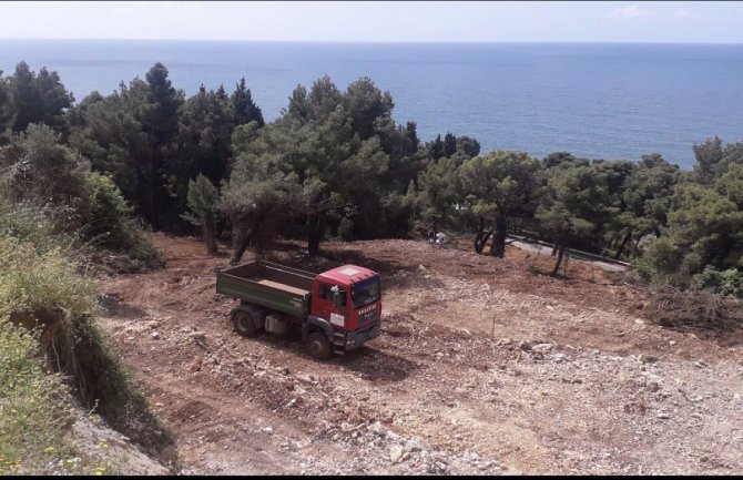 URA Ulcinj: Novi ekološki skandal - devastatirana Borova šuma