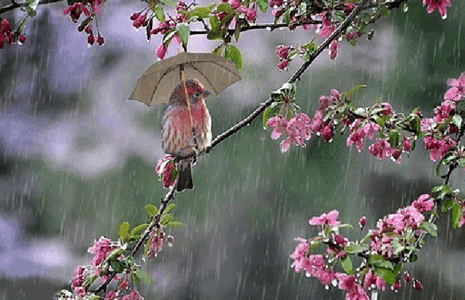 Kišovito, temperatura do 21 stepen