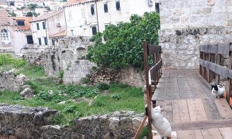 Promjenljivo oblačno, na sjeveru slabe padavine