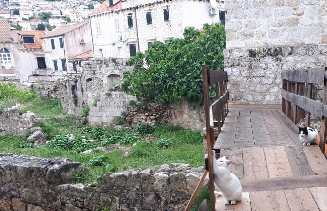 Promjenljivo oblačno, na sjeveru slabe padavine