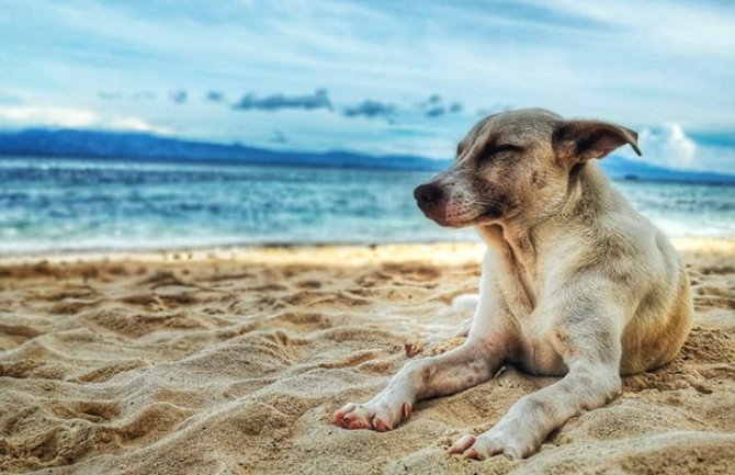 Pretežno sunčano, do 30 stepeni