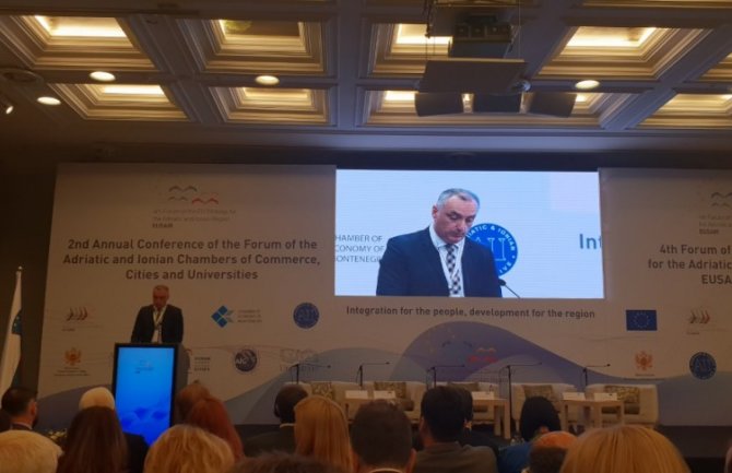 Nikolić: Visoko obrazovanje, istraživanja i inovacije ključni za međunarodni prosperitet