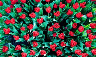 Sunčano, ponegdje kiša