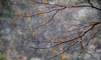 Sjutra oblačno sa kišom