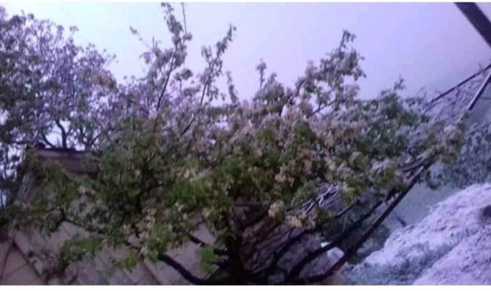 6033864311972503037883328528907135403163648n