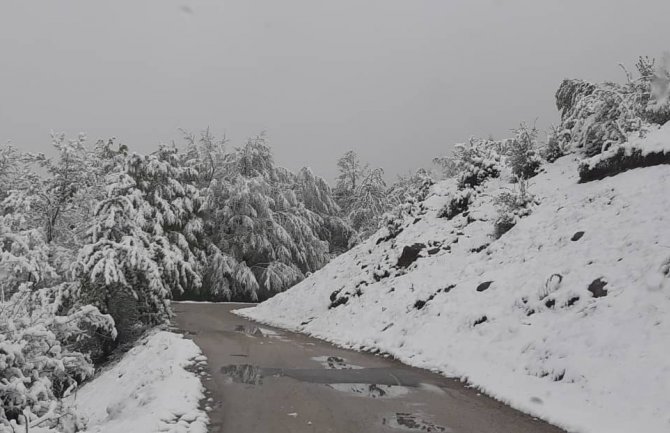 Burić: Prva polovina maja jedna od najhladnijih od 1949.