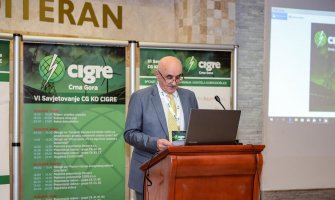 CG ima dovoljno potencijala da se u energetskom sektoru krene dinamičnije