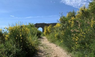 Sjutra radna akcija čišćenja tvrđave Mogren