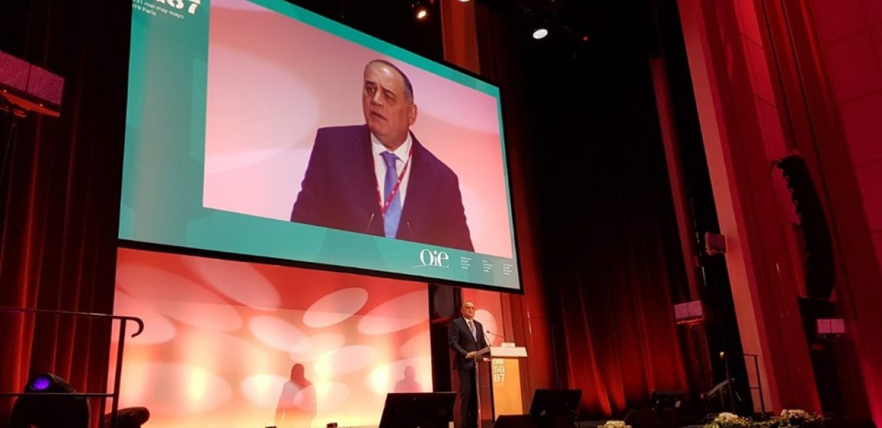 61039348397548240845828468779569936072704n