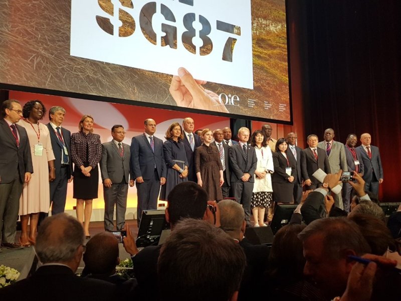 616634123975482775124916877921371813314560n