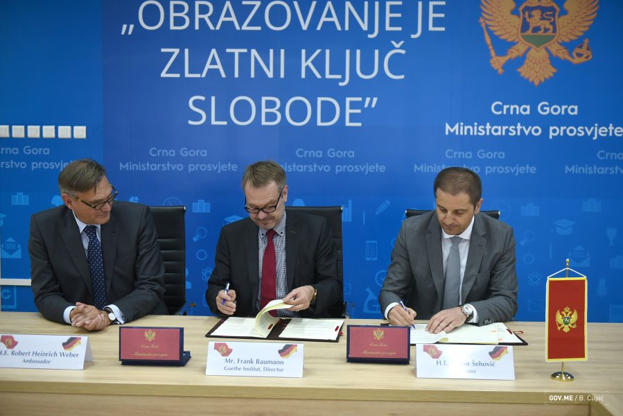 479426838264596a05175o