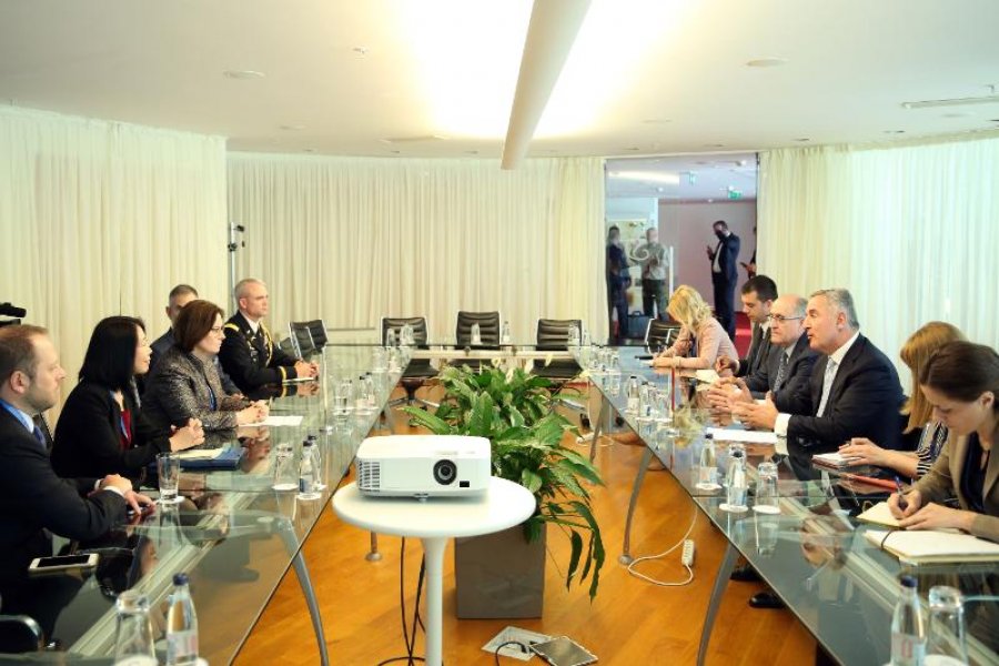 ukanoviRajzingRajnke2