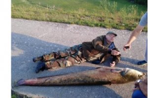 Duži i teži od ribolovca: Mladen ulovio soma kapitalca od 95 kilograma u 2,3 metra!