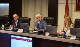 Ovo su odluke Vlade sa današnje sjednice