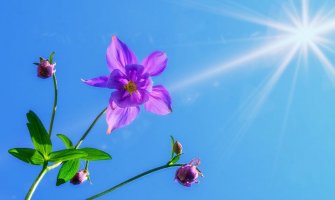 Sunčano i toplo, do 36 stepeni