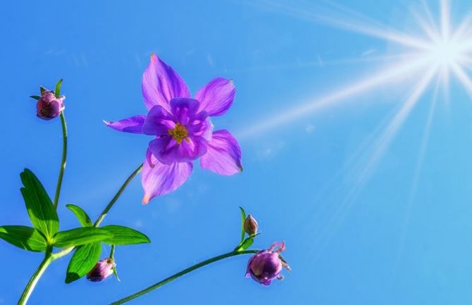 Sunčano i toplo, do 36 stepeni