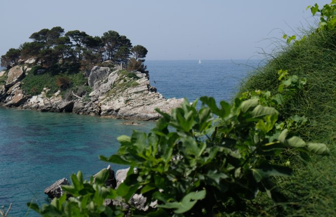 Sjutra akcija čišćenja podmorja i obale u zoni budućeg zaštićenog područja u moru - Katič