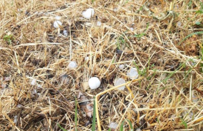 Jako nevrijeme pogodilo dijelove Hercegovine, padao grad veličine jajeta(FOTO)