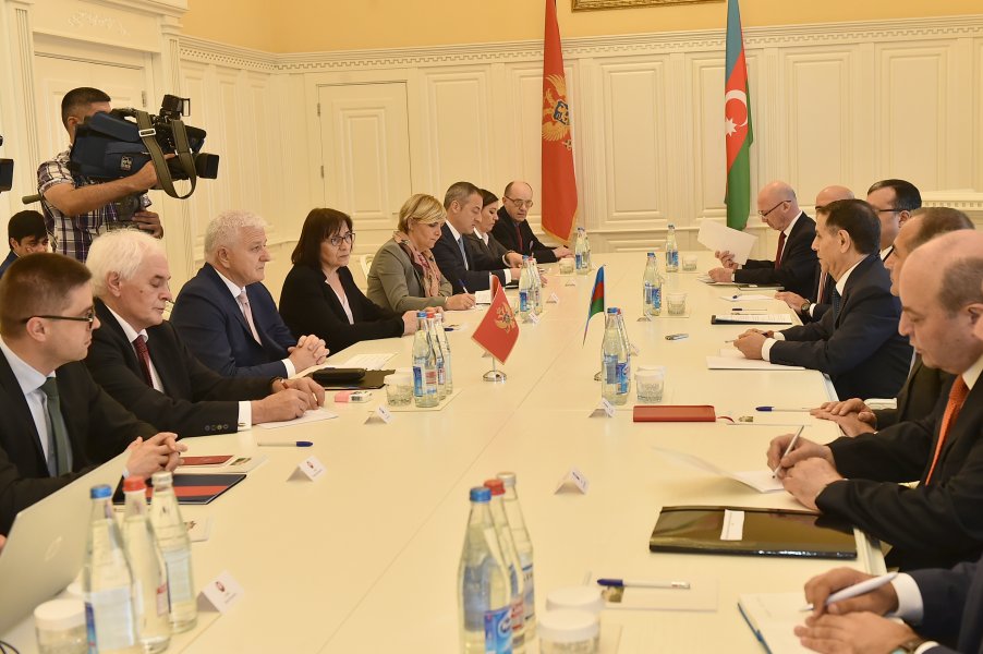 481195421267a0146c0bdo