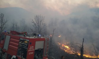 Šumski požar u Rvašima lokalizovan, vatrogasci branili kuće