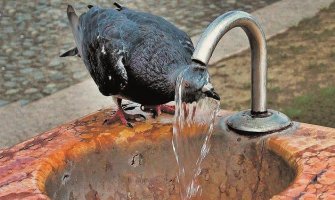 Danas sunčano do 34 stepena, u nedelju još toplije