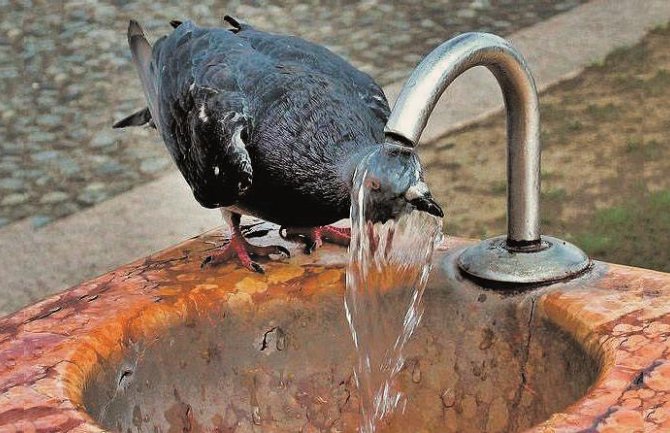 Danas sunčano do 34 stepena, u nedelju još toplije