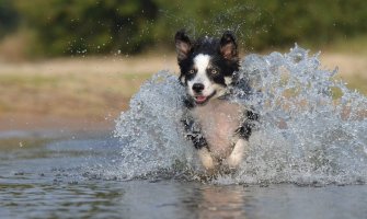 Sunčano i veoma toplo, poslijepodne lokalno pljuskovi