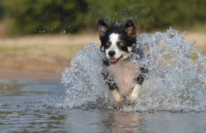 Sunčano i veoma toplo, poslijepodne lokalno pljuskovi