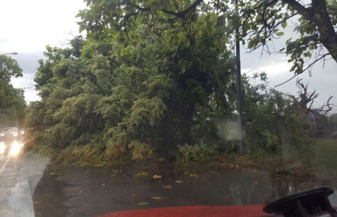 Nevrijeme u Srbiji: Loznica bez struje, u Šapcu padale fasade, u Novom Sadu drveće uništilo automobile(VIDEO)