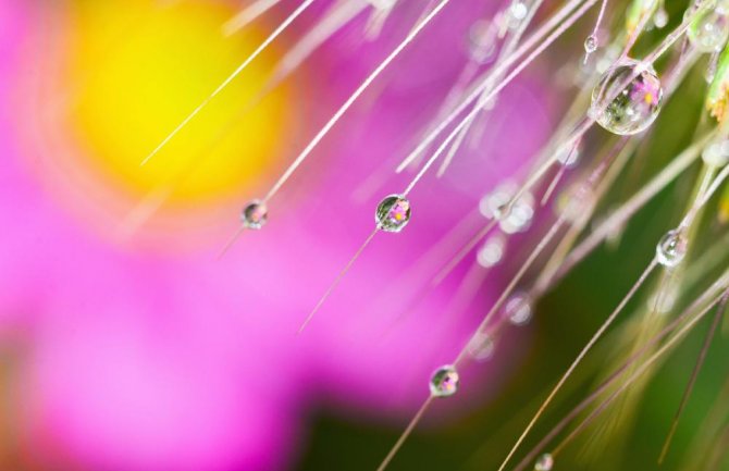 Promjenljivo oblačno, mjestimično kiša